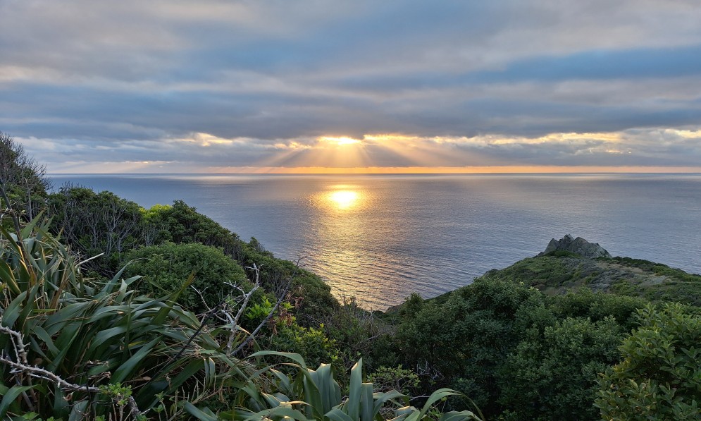 Stephens Island/Takapourewa
