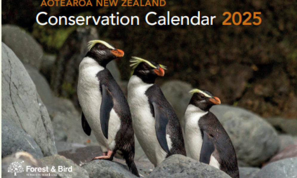 Conservation Calendar 2025