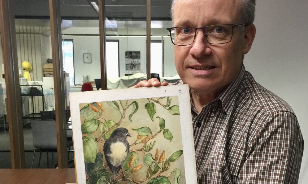 Michael Pringle with Lily Daff painting commissioned by Forest & Bird in 1930s (16x9)