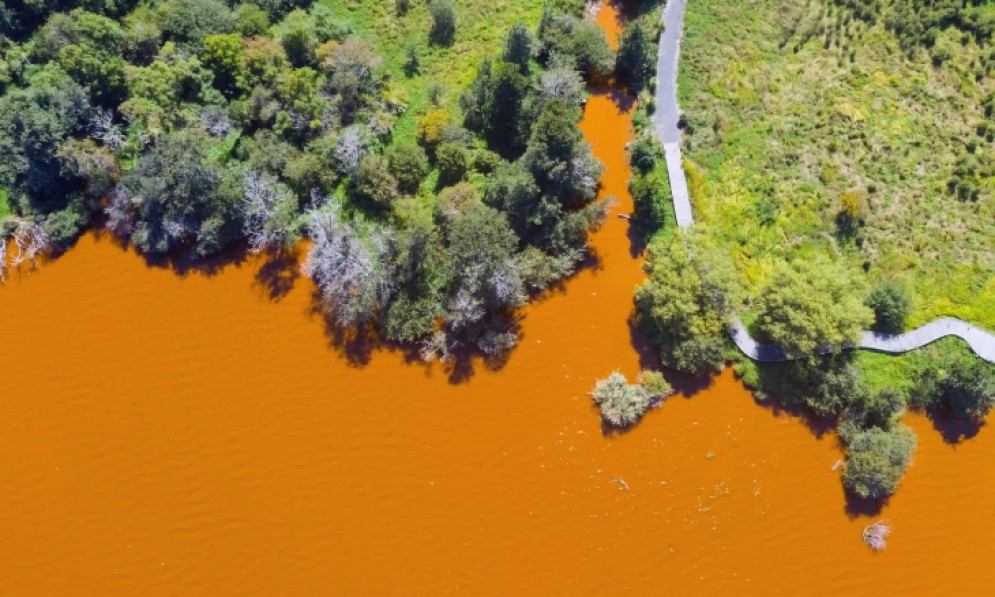 Lake Waikare, in the North Island region of Waikato, the dairy powerhouse of New Zealand, is one of the most polluted lakes in the country. Credit Iain McGregor/Stuff Limited