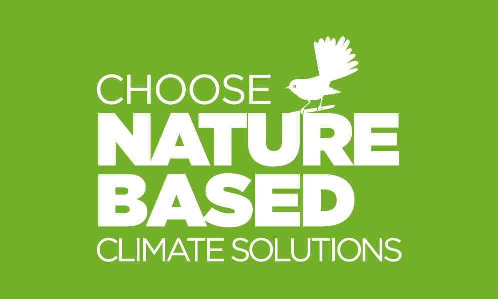 Nature-based solutions logo (white on green)