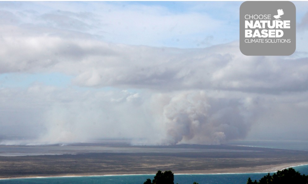 Awarua fire seen from Bluff in April 2022. Image: Tony Jewell