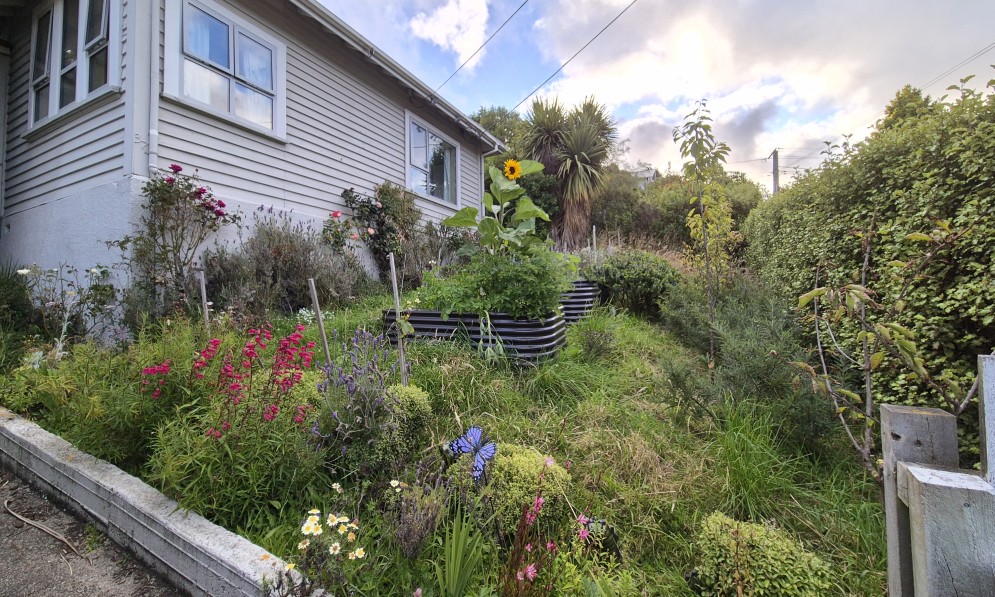Jenny Jandt’s wild garden in Dunedin. Image supplied