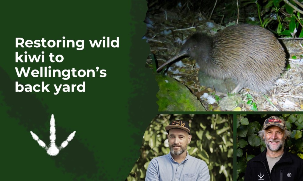 Capital Kiwi project