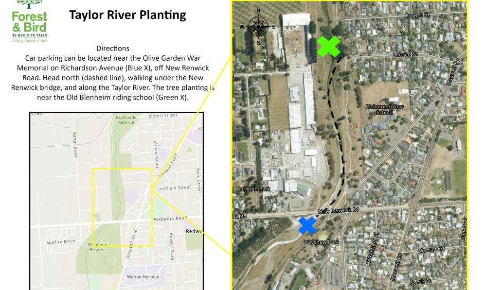 Taylor planting site location