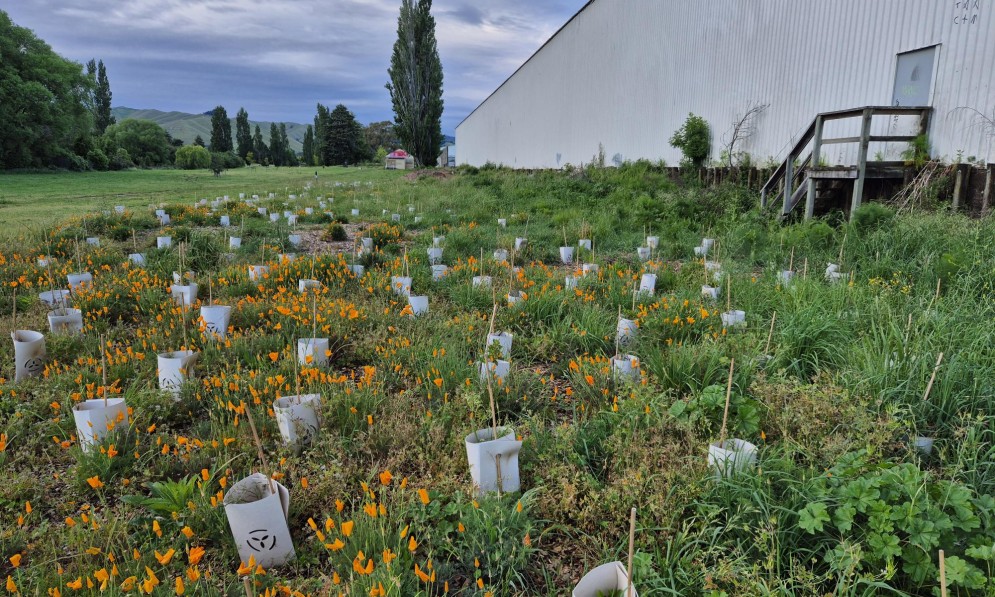 Taylor river site