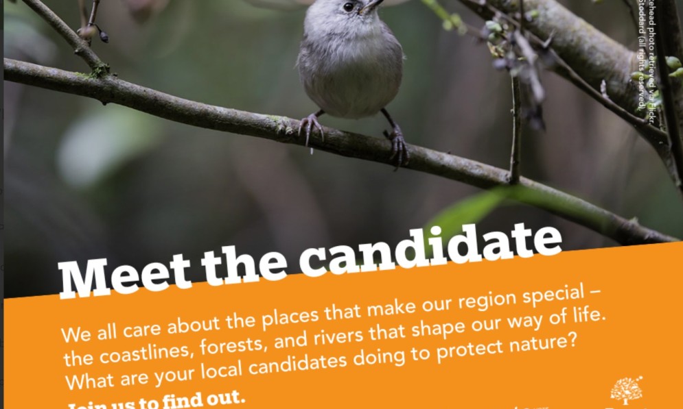 Meet the candidate