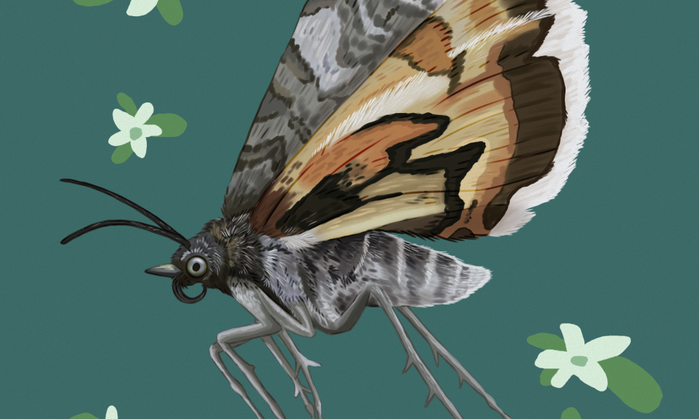 Avatar moth on green background with white flowers