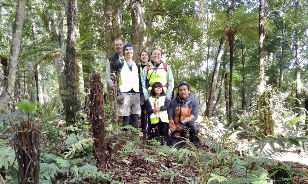 Searching for titipounamu nests. Credit Francesca Cunninghame