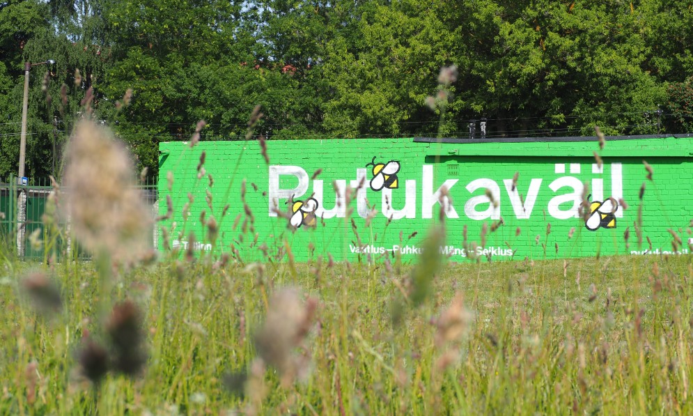 The Estonian city of Tallinn transformed a disused railway corridor into Putukaväil a “pollinator highway” providing food for native bees, butterflies, and other insects. Image Chris Fitch