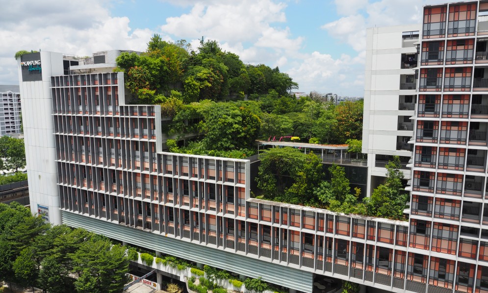 Kampung Admiralty, Singapore. Image Chris Fitch 