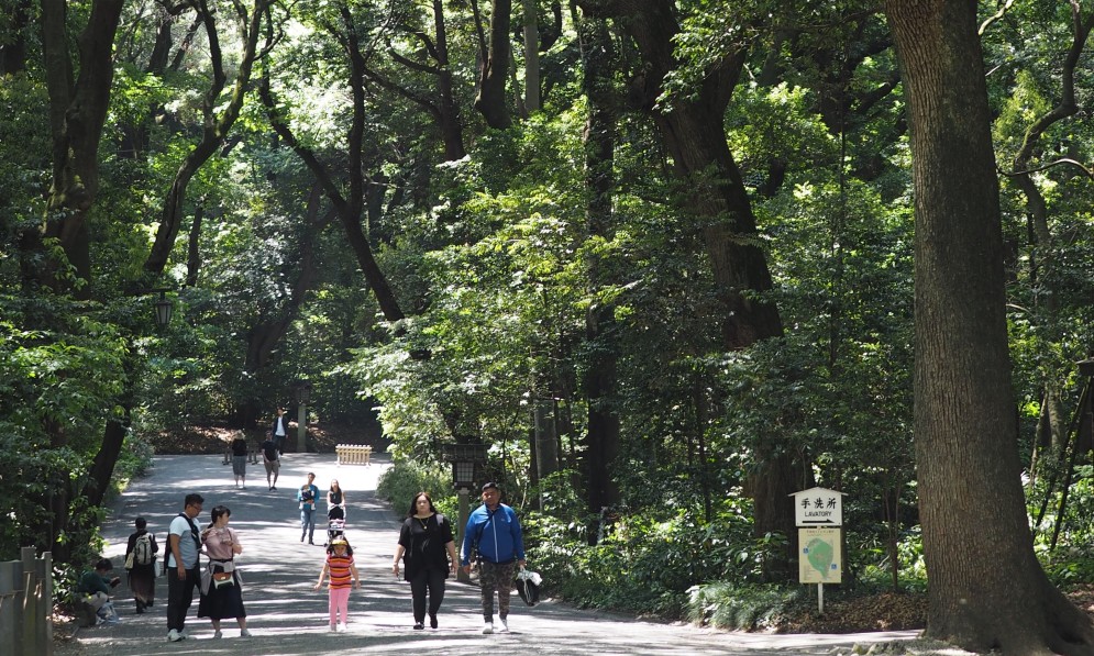 Meiji Forest, Tokyo. Image Chris Fitch