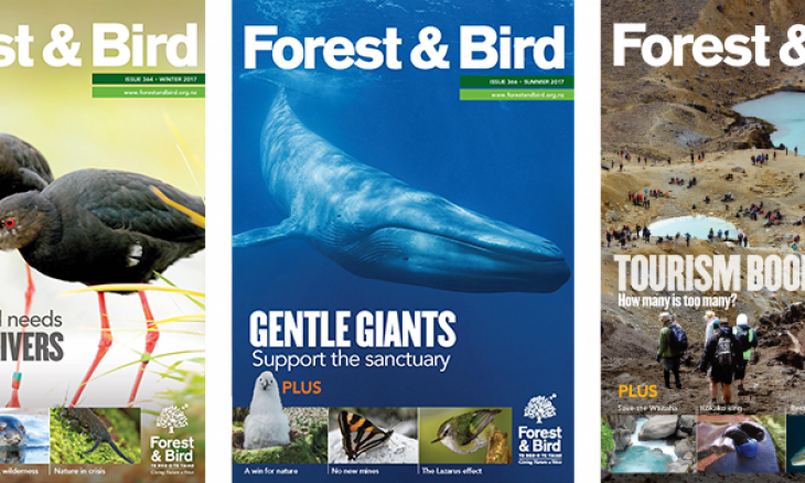 Forest & Bird Magazine cover samples