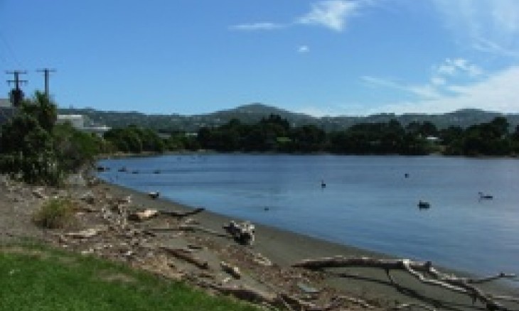 Hikoikoi Mudflats