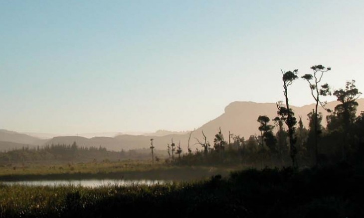 Mangarakau Swamp