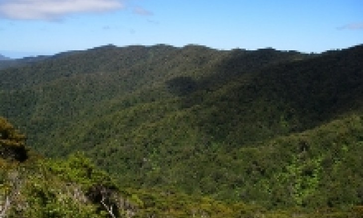 Orongorongo Valley