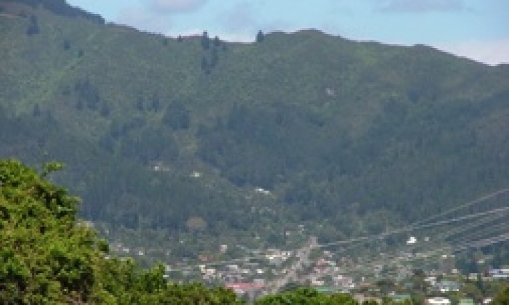 Upper Stokes Valley