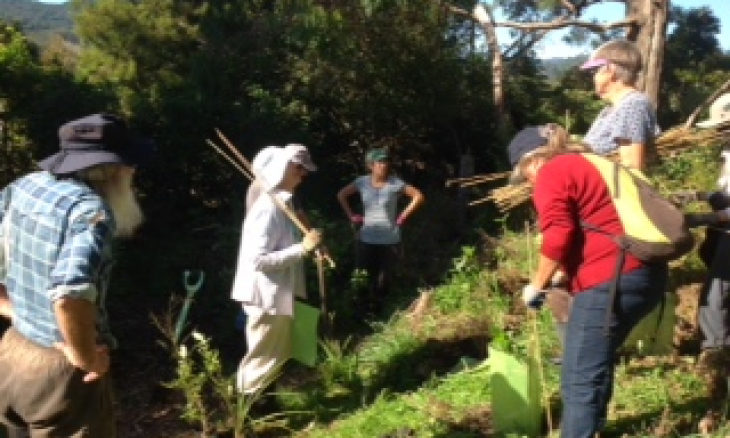 Mangarakau work