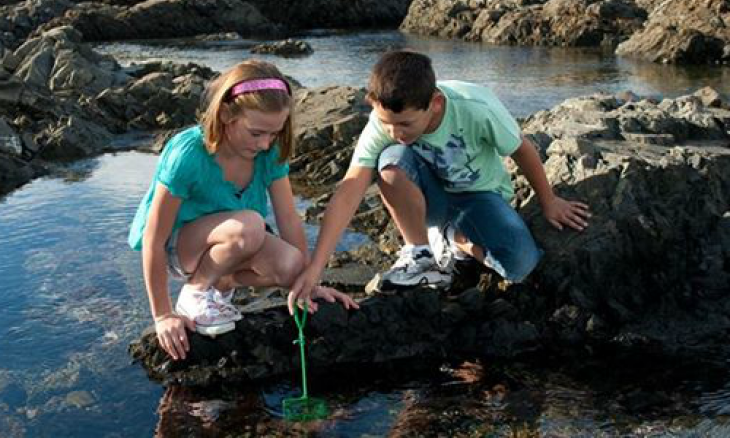 Rockpools