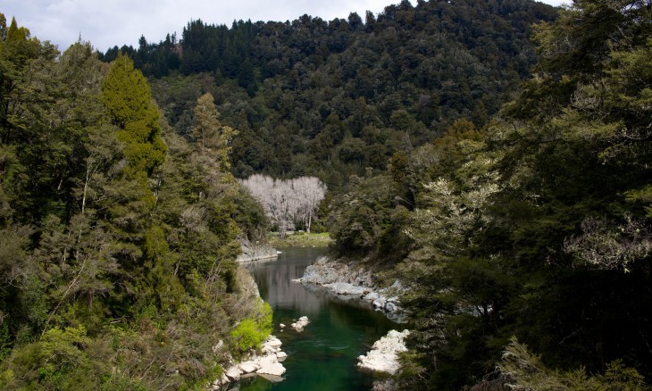 The Ronga River at Pelorus Bridge