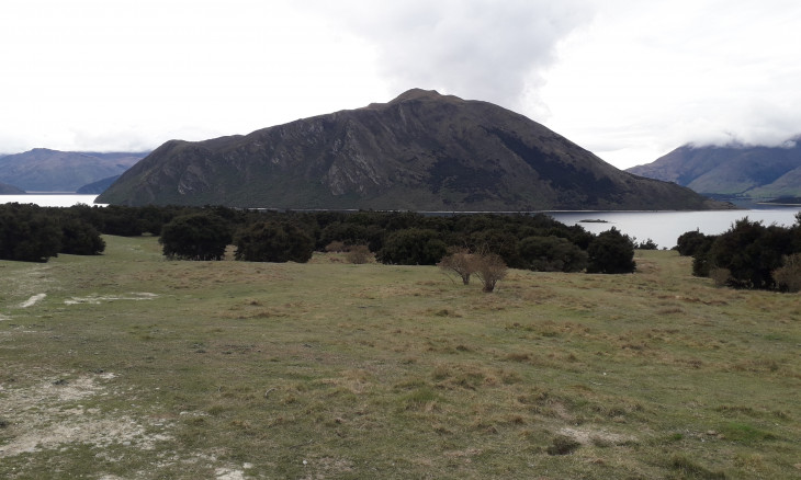 Peninsula Bay Reserve