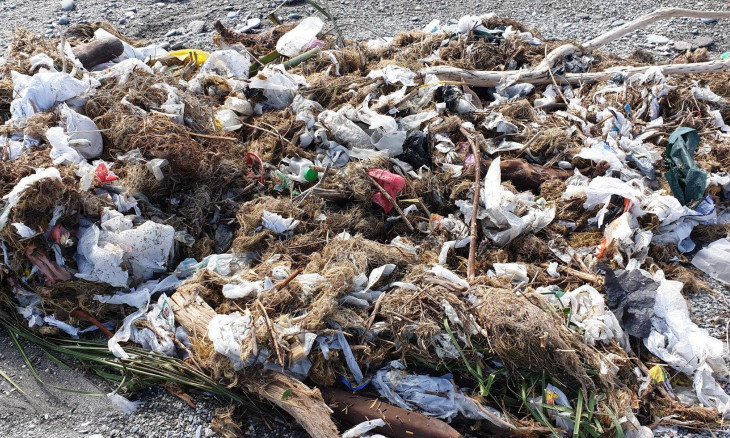 Rubbish from the fox glacier dump on a West coast beach