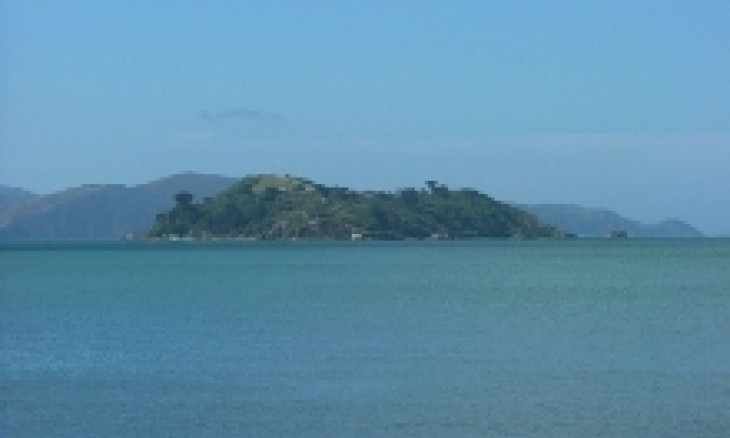Matiu/Somes Island, Wellington Harbour