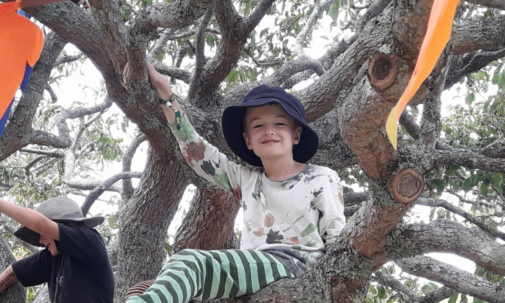 Children in a tree as part of the Be with a tree campaign