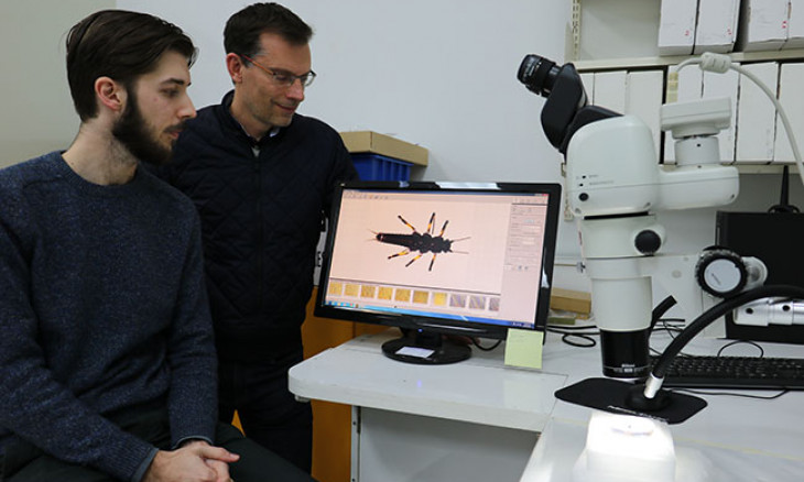 Brodie Foster and Jon Waters look at a photo of the Maungatua Stonefly on a computer