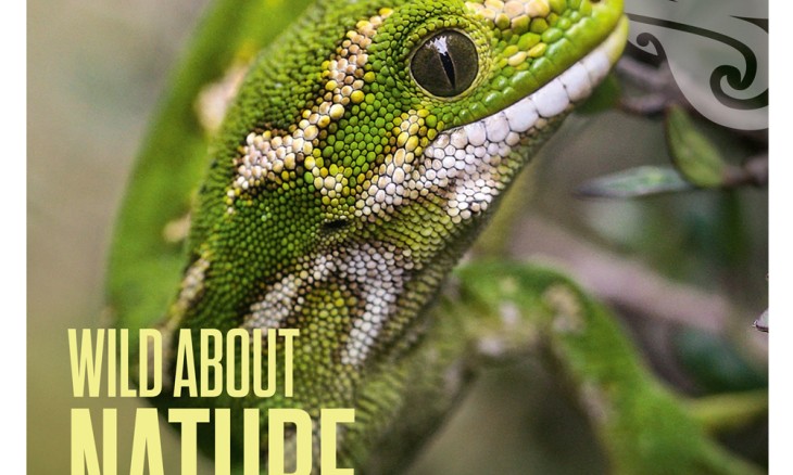 Forest & Bird Autumn 2020 magazine cover featuring a jewelled gecko