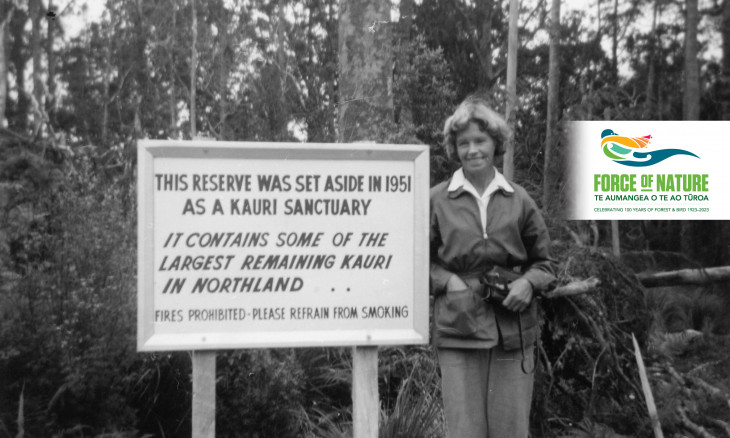 History project banner with old pic of Waipoua Forest kauri sanctuary with Miss Laurent next to a large sign