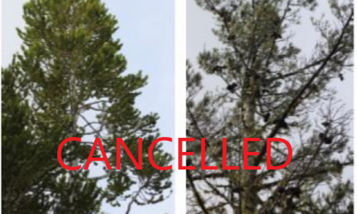 Cancelled talk