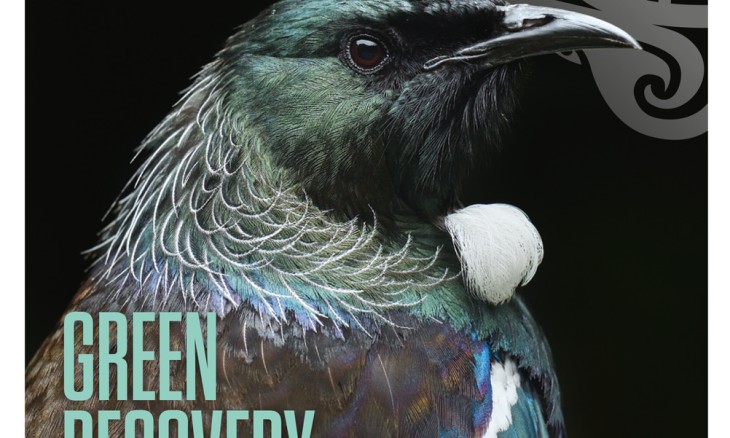 Forest & Bird magazine Winter 2020 cover with a close up of a tūī