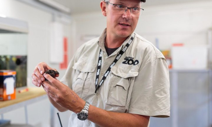 Richard Gibson - head of life sciences at Auckland Zoo