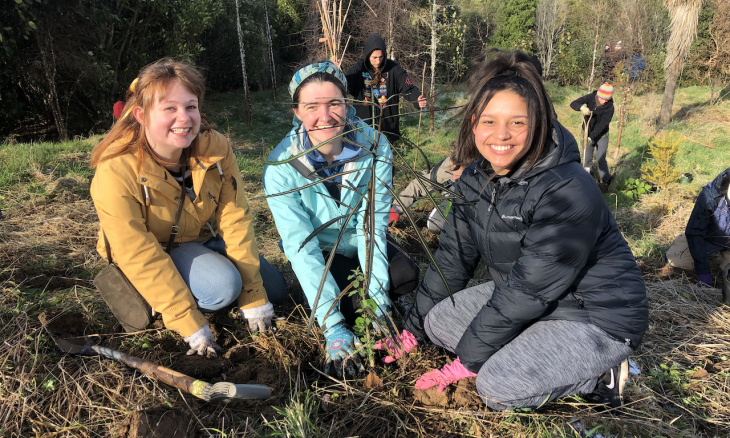 Volunteers plant a tree at Moore's Bush in Dunedin