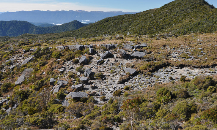 Whareatea West proposed mine site on conservation land