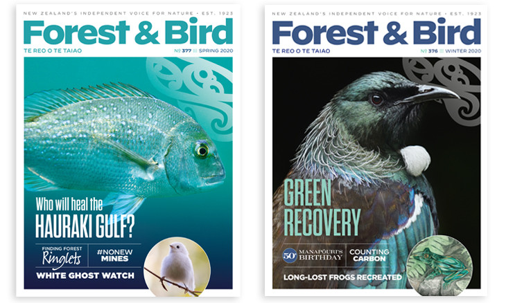 Forest & Bird magazine teaser image with two magazine covers