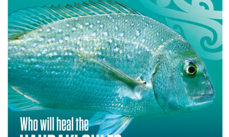 A snapper on the cover of the Spring 2020 issue of our magazine