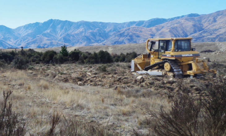 Bulldozer clearing vegetation