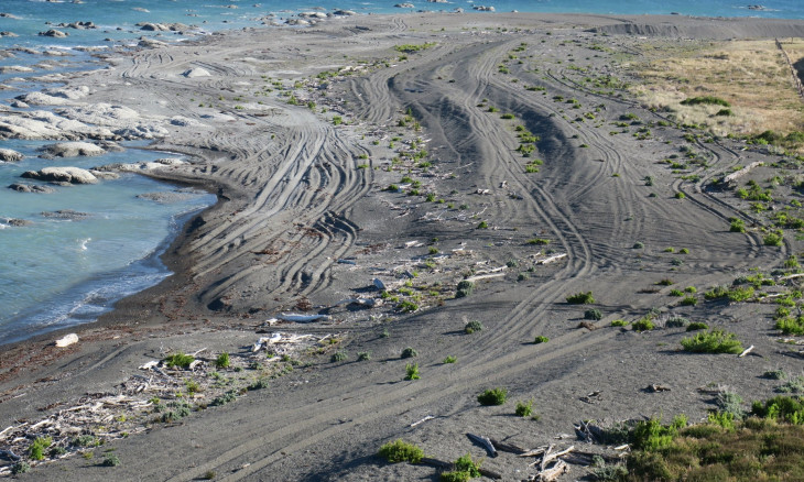 4WD damage on Canterbury Gully at Marfells Beach in Marlborough