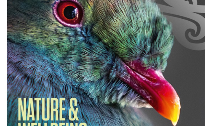 Forest & Bird Summer 2020 magazine cover with a close up of a kererū