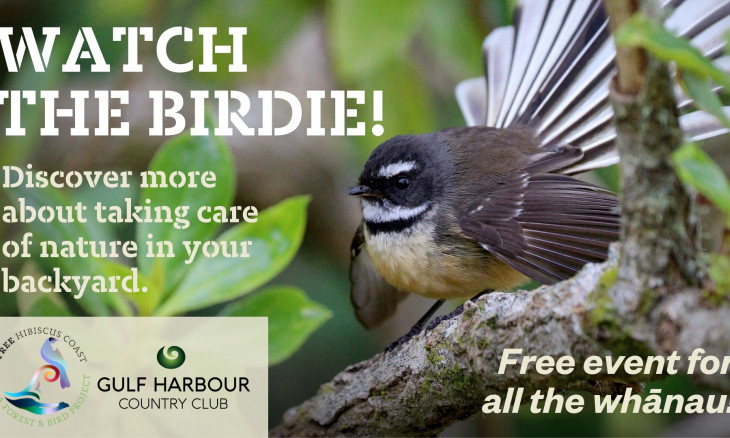 Watch The Birdie