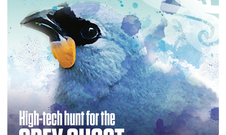 Spring 2021 Magazine cover with a picture of a South Island kōkākō