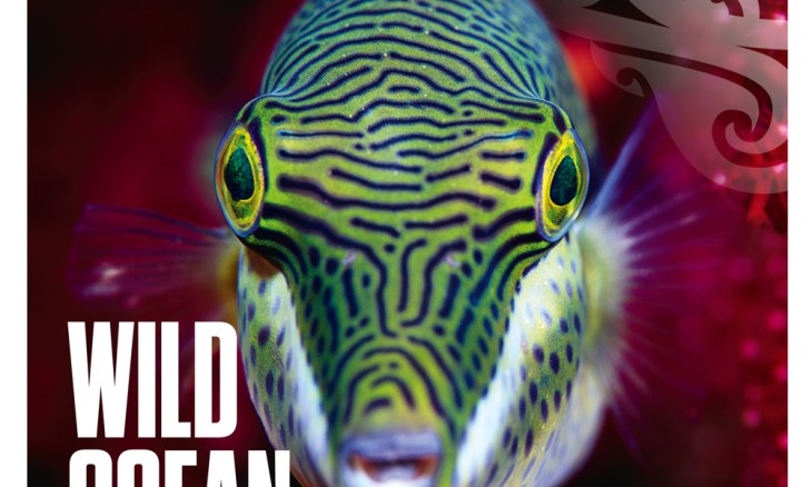 Summer 2021 magazine issue cover page with a clown toado (sharp-nosed puffer fish)