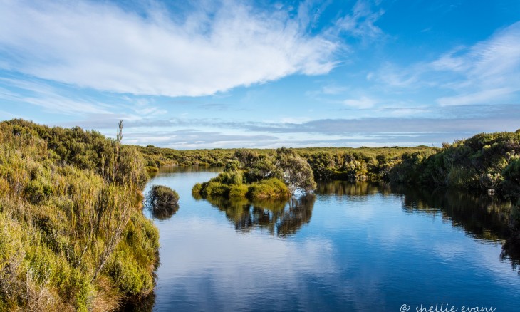 Waituna Lagoon, Southland Awarua-Waituna Wetlands