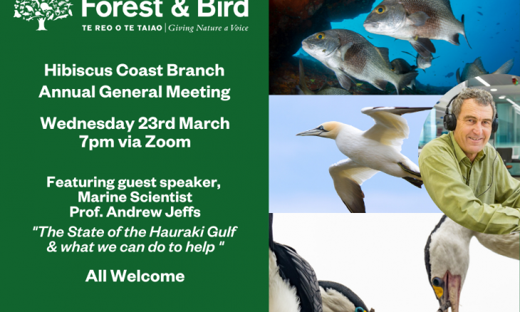 Hibiscus Coast Branch Annual General Meeting