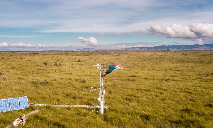 Dr Dave Campbell from the University of Waikato measuring the uptake and release of carbon dioxide by wetland plants (image 2)