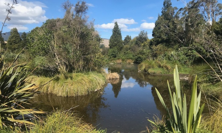 Pohangina Wetlands, a wildlife reserve in Pohangina, Manawatū, created by Gordon and Anne Pilone via a charitable trust, and opened to the public in 2005. It was covenanted by the QEII National Trust in 2015_credit Mark Dickison [wikicommons]