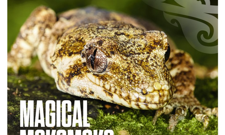F&B Magaziner winter 2022 cover with a green mokomoko lizard