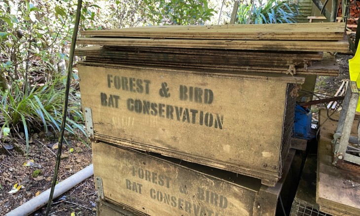 Forest & Bird branded DOC 200 traps for catching rats and stoats